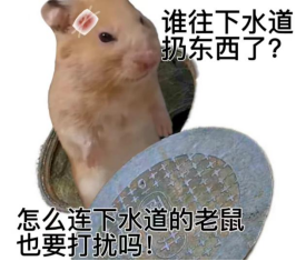 1678951485170055532.png image.png