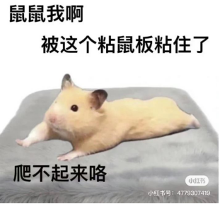 1678951504405099152.png image.png